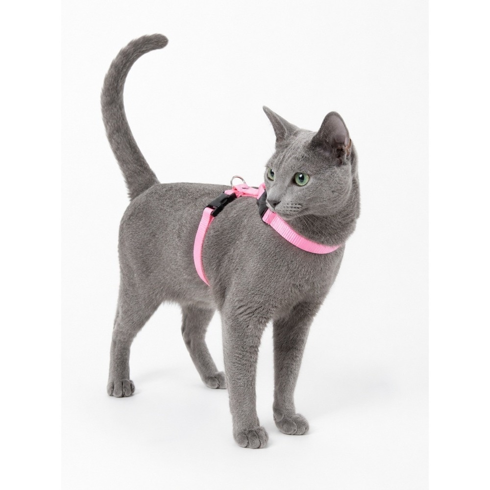 LUPINEPET Cat H-Style Harness 12-20" Pink Large Adjustable Nylon 1/2" YKK Buckle